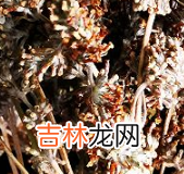 黄色糯米饭怎么做