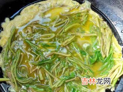 香椿芽炒鸡蛋怎么做好吃?