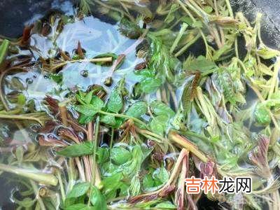 香椿芽炒鸡蛋怎么做好吃?