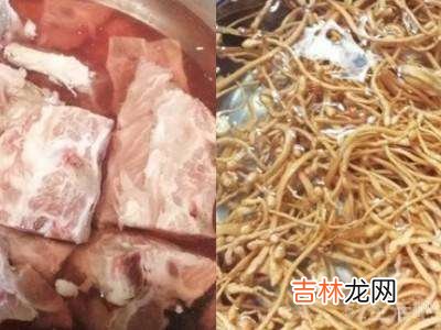 蛹虫草怎么炒菜?