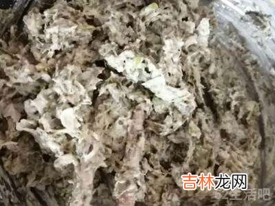 杨树叶怎么做好吃?