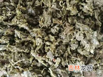 杨树叶怎么做好吃?