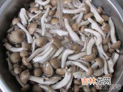 蟹味菇怎么吃?