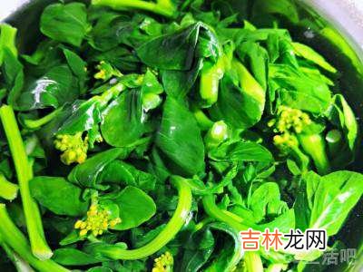 油菜花怎么做好吃?