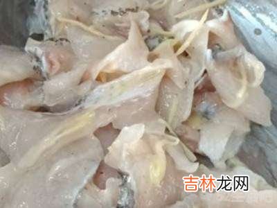 卢鱼片怎么煮?