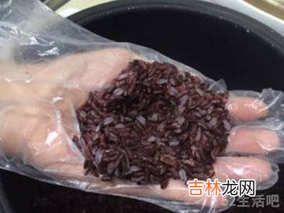 黑米饭团怎么做简单又好吃?