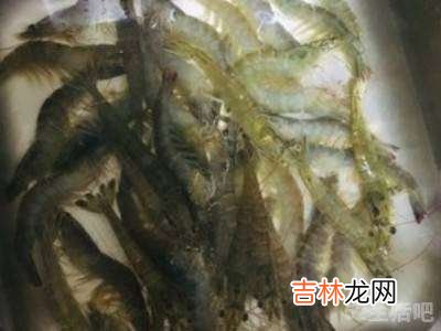 白水虾怎么做才好吃?