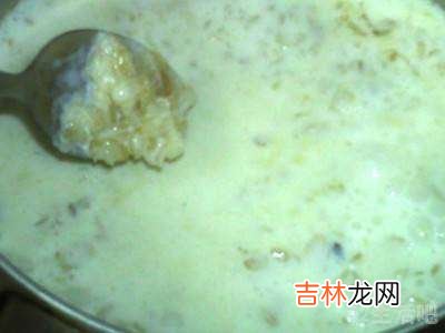 燕麦仁怎么吃?