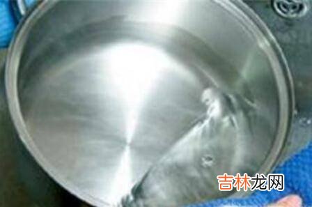 新不锈钢锅开锅方法