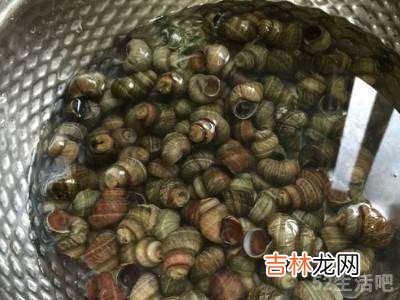 螺蛳怎么做?