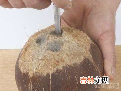 椰子怎么吃椰汁和椰肉?