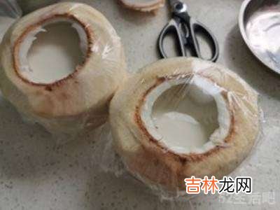 椰子怎么吃法?