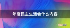 年度民主生活会什么内容