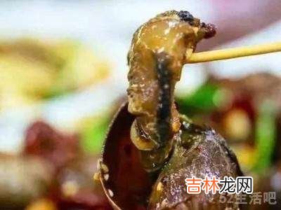 螺蛳怎么吃到肉?