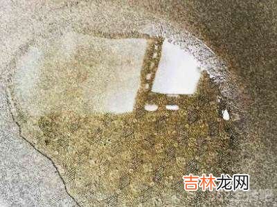 茶油怎么吃法?