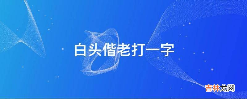 白头偕老打一字