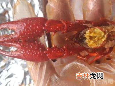 熟的小龙虾怎么吃?