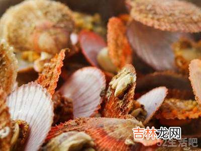 大扇贝怎么吃?