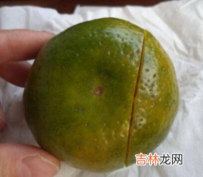陈皮怎么做出来的