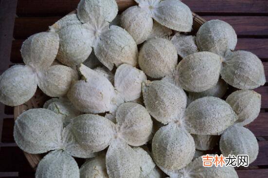 陈皮怎么做出来的