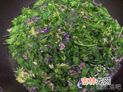 二月兰花怎么吃?