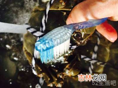 吃大闸蟹怎么吃?
