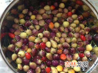 水果辣椒怎么吃?