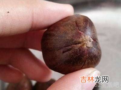 怎么做板栗好吃又简单?