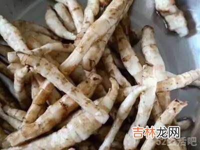 虫草参怎么吃?