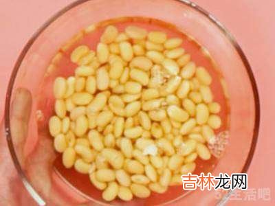 黄豆怎么吃?