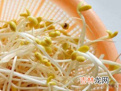 怎么吃黄豆芽?