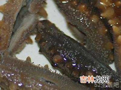干海参怎么做好吃又简单方便?
