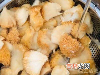 干猴头菇怎样简单又好吃?