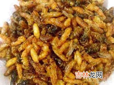 马蜂蛹怎么吃?