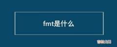 fmt是什么