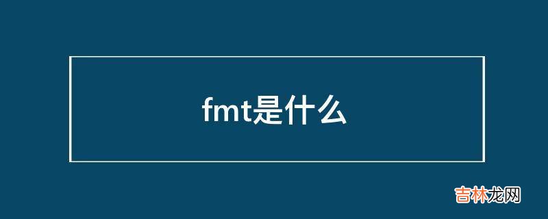 fmt是什么