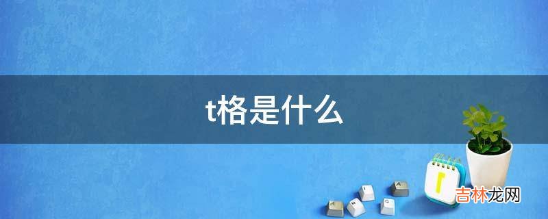 t格是什么