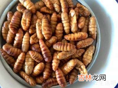冻蚕蛹怎么吃?