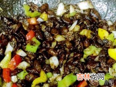 蜜蜂蜂蛹怎么吃?