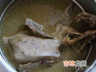 鹅怎么吃?
