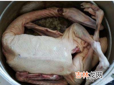 鹅怎么吃?