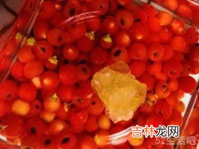 红豆杉泡酒的正确方法?