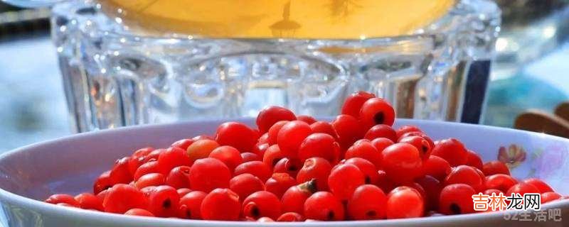 红豆杉泡酒的正确方法?