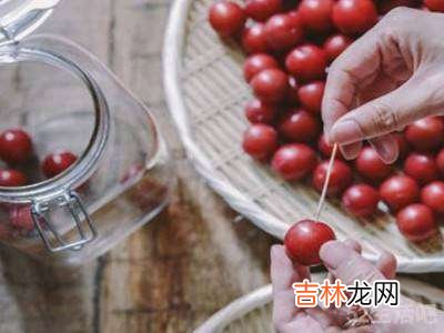 李子酿酒方法和步骤?