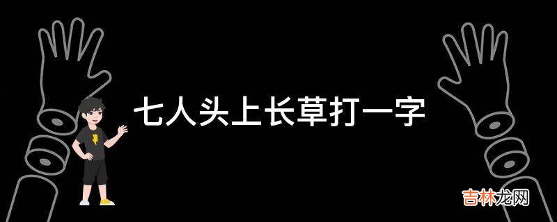 七人头上长草打一字