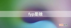 fyp是啥