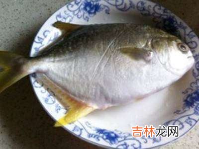 冻金鲳鱼怎么做好吃?