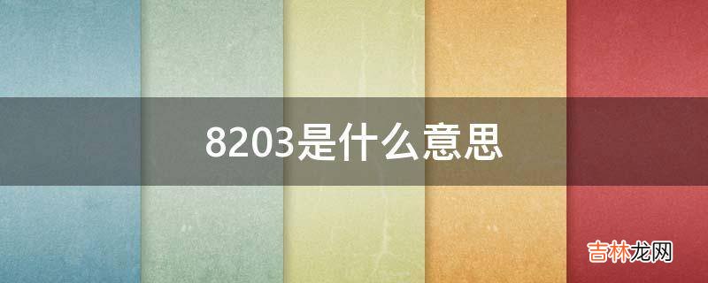 8203是什么意思