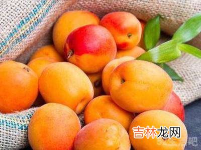 杏子不熟怎么捂?