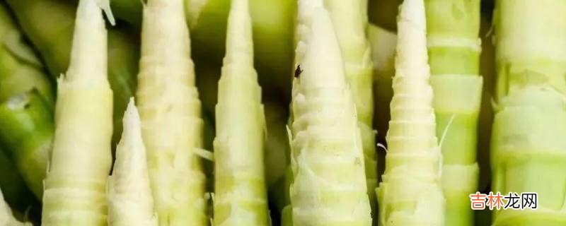 贡山独龙族怒族美食